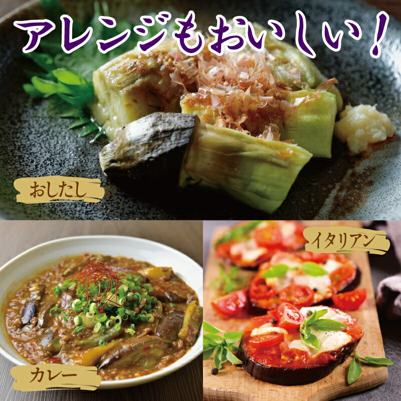 【ふるさと納税】ねね屋 の水なす 4～6個 / 水なす ぬか漬け 2個 セット 泉州 国産 野菜 生水なす ナス なすび 食べ方 漬物 イタリアン カレー おひたし おしたし 食品 ご飯のお供 みずみずしい ぬか 柔らか 泉佐野市 送料無料