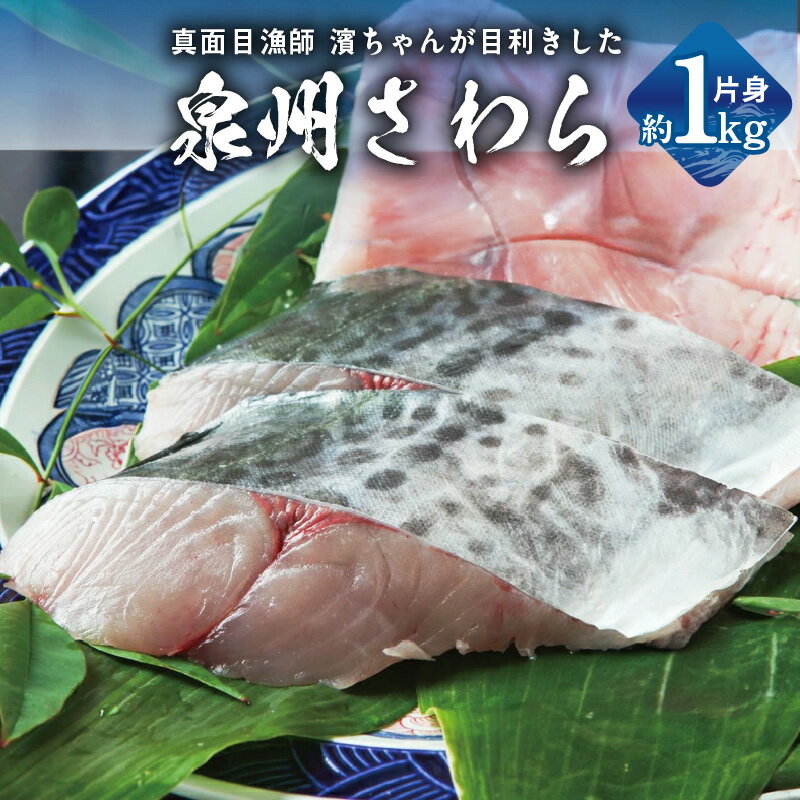 【ふるさと納税】泉州 鰆 片身 約 1kg 鮮度抜群 大ぶり 極肉厚 脂とろり 大阪湾 国産 急速冷凍 冷凍 鮮魚 魚介 魚 海産物 海の幸 塩焼..