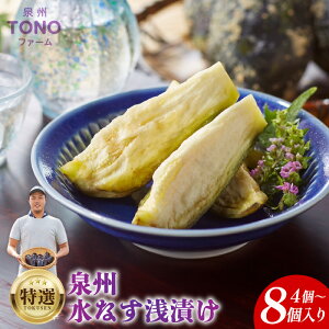 【ふるさと納税】\内容量が選べる/泉州TONOファーム特選 着色料・保存料無添加 水なす漬け