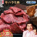 【ふるさと納税】\定期便/ 牛肉 牛ハラミ 1.2kg 全3回 毎月配送コース 選べる 冷凍 / 冷蔵 タレ漬け お肉 肉 味付け肉 焼肉 BBQ 小分け 焼くだけ 簡単 やわらか ジューシー 食品 お取り寄せ 大阪府 泉佐野市 送料無料 肉の泉佐野