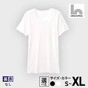 【ふるさと納税】【特別寄附金額】 期間限定 MENS 裏表なし インナースタンダード Tシャツ 肌着 3枚 メンズ用 選べる カラー 白 / 黒 サイズ S /...