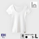 【ふるさと納税】【特別寄附金額】 期間限定 WOMENS 裏表なし インナープレミアム Tシャツ 肌着 3枚 レディース 選べる カラー 白 / 黒 サイズ S...