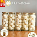 【ふるさと納税】ピクルス うずら卵のピクルス 選べる 2本 / うずら卵 水なすピクルス和風 各 1本 / 5本 / 10本 セット 国産 うずら卵使用 泉州 ...