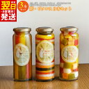 【ふるさと納税】彩シリーズ ピクルス 3本 セット いずみピクルス 詰め合わせ 人参 大根 パプリカ ズッキーニ きゅうり カラフルな野菜 漬け物 晩酌 瓶 お取り寄せ 最短 翌日発送 5営業日 大阪府 泉佐野市 送料無料 NSW