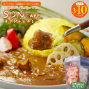 【ふるさと納税】15種スパイスを使用した SONカフェ 特製カレー セット いずみピクルス NSW 選べる 内容量 オリジナルカレー 600g / 1000g / 2000g 玉ねぎのアチャール キャベツのピクルス カレー 冷凍 最短 翌日発送 5営業日 泉佐野市 送料無料