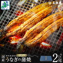 【ふるさと納税】ビッグサイズ 数量限定 老舗 五郎藤 関西風地焼き 国産 有頭旨鰻 250g×1尾 / 250g×2尾 特大 うなぎ 蒲焼き 炭火 たれ 粉山椒...