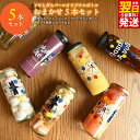 【ふるさと納税】ピクルス ドレッシング コンポート クラフト飲料 シロップ おまかせ 5本 セット いずみピクルス フルーツ リサとガスパール 瓶 晩酌 おかず 常備菜 お取り寄せ 最短 翌日発送 5営業日 大阪府 泉佐野市 送料無料 NSW