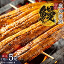 【ふるさと納税】国産 うなぎ 150g×2尾 / 150g×5尾 / 180g×1尾 タレ 山椒 付き 蒲焼き 有頭 数量限定 うなぎ専門店 大門 自慢の逸品 ...