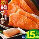 【ふるさと納税】特別寄附金額 最短翌日 サーモン 1kg / 1.5kg 定期便 訳あり 発送時期が選べる サイズ不揃い 鮭 ポーション 小分け ブロック 柵 ...