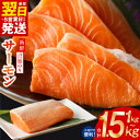 【ふるさと納税】寄附金額改定 最短翌日 サーモン 1kg / 1.5kg 定期便 訳あり 発送時期が選べる サイズ不揃い 鮭 ポーション 小分け ブロック 柵 刺身 海鮮丼 カルパッチョ 骨取り 生食 海鮮 冷凍 楽天限定 年内発送 最短 翌日発送 5営業日 大阪府