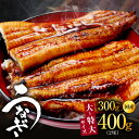【ふるさと納税】うなぎ うなぎ蒲焼 2尾 合計 300g以上 / 400g以上 タレ付き 秘伝のタレ 国産 炭火焼き 手焼き 備長炭 香ばしい香り 表面はパリッ...