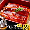 【ふるさと納税】国産うなぎ 合計 250g ( 約125g × 2尾 ) 秘伝のたれ たれ付き 国産 うなぎ 蒲焼 有頭 炭火焼き 備長炭 手焼き うなぎのかば...