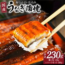 【ふるさと納税】国産うなぎ お試し 230g(鰻1尾 130g+ ハーフカット 100g)訳あり お試し ウナギ 無頭 炭火焼き 備長炭 手焼き