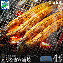 【ふるさと納税】老舗 五郎藤 関西風地焼き 国産 有頭旨鰻 120g 2尾 計約 240g前後 / 4尾 計 約 480g前後 化粧箱入り うなぎ 蒲焼き 炭火...