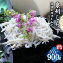 【ふるさと納税】減塩釜揚げしらす 泉州しらす お試し 300g / 600g / 900g 定期便 全6回 釜揚げ シラス 減塩 急速冷凍 しらすの風味 しらす丼 魚介類 ごはんのお供 おつまみ 酒の肴 食品 お取り寄せ お取り寄せグルメ 大阪府 泉佐野市 送料無料