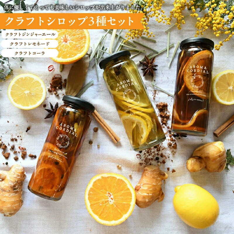 ＼最短7営業日以内発送/ クラフト 飲料 シロップ 3種 3本 セット コーラ ジンジャーエール レモネード 美味しい クラフトドリンク アロマコーディアル 手軽 いずみピクルス NSW お取り寄せ 大阪府 泉佐野市 送料無料