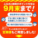 大阪府泉佐野市の画像2