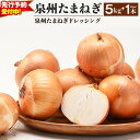【ふるさと納税】【先行予約】 泉州たまねぎ 5kg たまねぎドレッシング 1本 500ml 玉ねぎ 国産 野菜 新たまねぎ 肉厚 M級以上 ドレッシング オニオ...