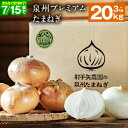 【ふるさと納税】7/15 受付終了 射手矢さんちの泉州プレミアムたまねぎ 選べる容量 3kg / 10kg / 20kg 国産 新たまねぎ 生食 肉厚 水分 ジューシー やさしい 甘み 辛味が少ない オニオン スライス サラダ カレー バーベキュー BBQ 肉じゃが 期間限定 泉佐野市 送料無料