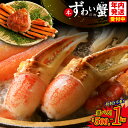 【ふるさと納税】蟹しゃぶ爪肉 500g / 1kg かんたん 蟹しゃぶ 爪 加熱用 ずわい蟹 むき身 かに鍋 しゃぶしゃぶ 焼きガニ フライ バター焼き ジュー...