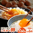 【ふるさと納税】戸野さん家のこだわりタマゴ とのたま 定期便 30個 60個 全3回 全6回 毎月配送 新鮮 国産 泉佐野市産 Mサイズ 卵 濃厚 コク TKG...