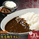【ふるさと納税】牛肉 国産 和牛 カレー 180g 2個 / 7個 / 10個 生活応援 特別規格 55キャンペーン レトルト 惣菜 簡単調理 防災 備蓄 小分...