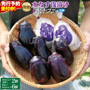 【ふるさと納税】【先行予約】 水なす漬け 2個 徳用 水なす 6個 セット 特選 着色料・保存料無添加 大阪エコ農産物の認定 ナス 自家製 朝採れ こだわり お...