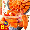 【ふるさと納税】満足度9割以上 サーモン ポーション 1kg / 1.5kg 切落し 900g 定期便 訳あり 発送時期が選べる サイズ不揃い 鮭 小分け ブロック 柵 刺身 海鮮丼 生食 鮮度抜群 海鮮 冷凍 驚異のリピート率 楽天限定 年内発送 受付中 発送月 大阪府 泉佐野市