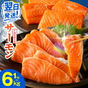 【ふるさと納税】今なら最短翌日 圧倒的企業努力 サーモン 1kg / 1.5kg 定期便 訳あり 発送時期が選べる サイズ不揃い 鮭 ポーション 小分け ブロック 柵 刺身 海鮮丼 カルパッチョ 生食 鮮度抜群 海鮮 冷凍 楽天限定 満足度9割以上 年内発送 最短 翌日発送 5営業日 大阪府
