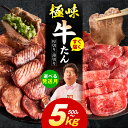 【ふるさと納税】すぐ届く 14日以内発送 満足度90%以上 ★高評価 牛タン 500g ~ 5kg 厚切り 薄切り スライス 食べ比べ 牛ヒレ 小分け 訳あり サイズ不揃い BBQ キャンプ 焼肉用 お肉 冷凍 牛肉 熟成肉 氷温熟成 焼肉 年内発送 肉の泉佐野 丸善CP 大阪府 泉佐野市 送料無料