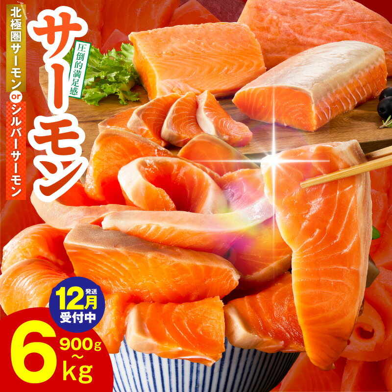 【ふるさと納税】満足度9割以上 サ