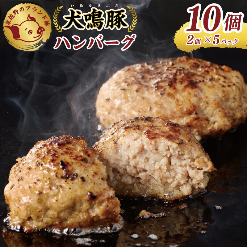 【ふるさと納税】犬鳴豚の手作りプレミアムハンバーグ 2個 × 5パック 合計 10個 国産 豚肉 泉佐野ブランド豚 犬鳴豚 手作り ハンバーグ 冷凍 焼くだけ 簡単調理 大阪府 泉佐野市 送料無料 肉の泉佐野