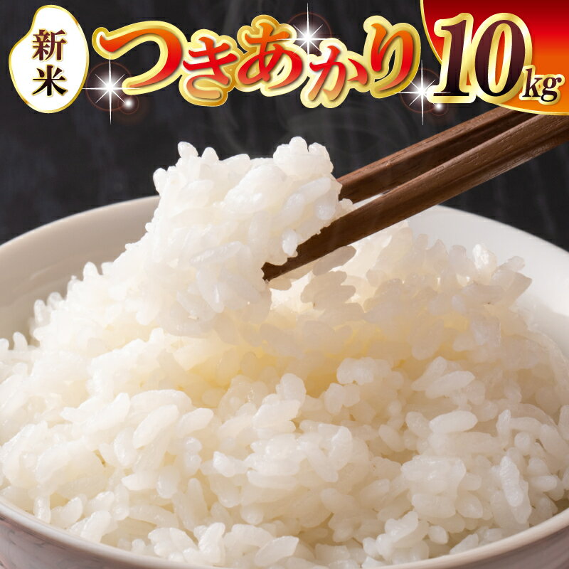 [数量限定] 令和7年産 新米 つきあかり 10kg 5kg×2 泉佐野市産 国産 お米 米 白米 精米 家計応援 冷めても味が落ちにくい お弁当 おにぎり ご飯 和食 洋食 お取り寄せ 大阪府 送料無料 泉佐野市