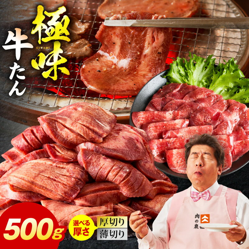 牛タン 500g 厚切り 薄切り スライス 牛ヒレ 小分け 訳あり サイズ不揃い BBQ キャンプ 焼肉用 お肉 冷凍 牛肉 熟成肉 氷温熟成 焼肉 年内発送 肉の泉佐野 発送月 大阪府 泉佐野市 送料無料