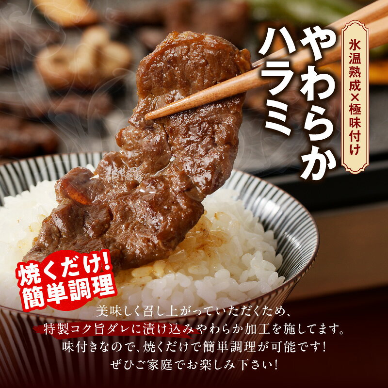 【ふるさと納税】牛肉 焼肉 福袋 4種 定期便 2回 / 3回 / 4回 【毎月配送】 牛タン...