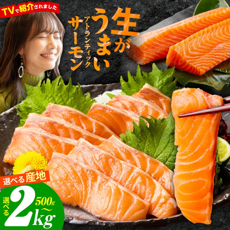 【ふるさと納税】TVで紹介! 訳あり 