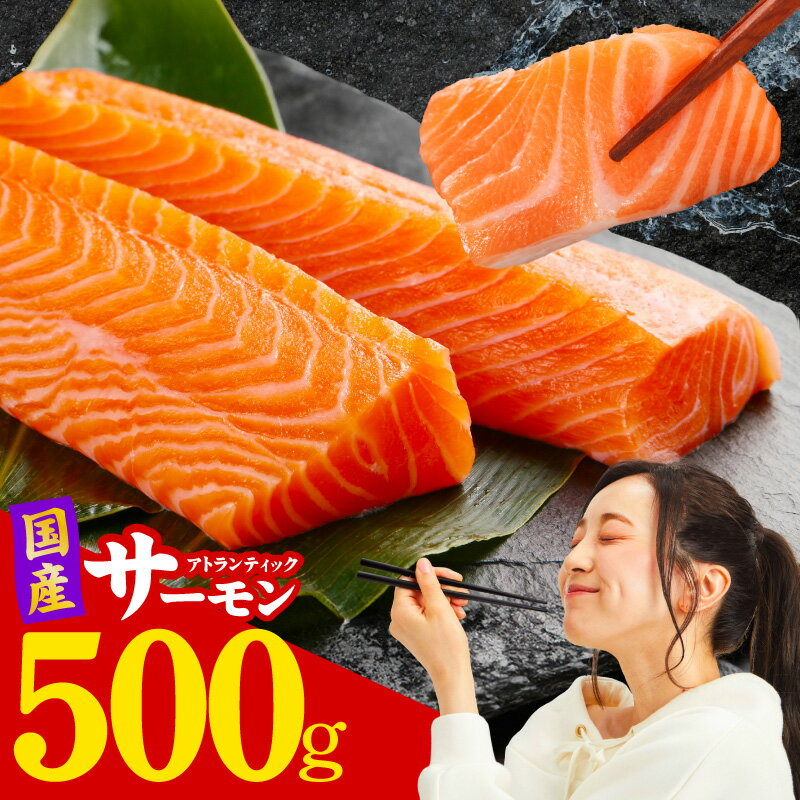 【ふるさと納税】【訳あり】 国産 アトランティックサーモン 500g ポーション 小分け 真空パック 2~3パック サイズ不揃い 手作業 骨抜き 生食 刺身 カ...