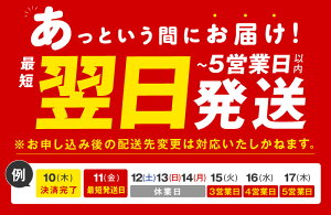 【ふるさと納税】＼最短5営業日以内発送／ 銀鮭 鮭 切り身 訳あり サイズ 不揃い 人気の海鮮返礼品 甘塩 塩分控えめ 冷凍 切身 使い勝手抜群 便利 食品 グルメ お取り寄せグルメ お弁当 おかず シルバー サーモン 魚 海鮮 ムニエル 泉佐野市 送料無料 レビューキャンペーン