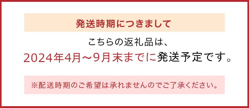 【ふるさと納税】水なす浅漬け5個と水なす染め泉州タオルセット