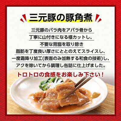 【ふるさと納税】豚角煮缶詰　10缶【1154262】