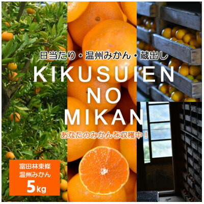 富田林市東條産 温州みかん 甘い美味しいみずみずしいと人気柑橘 5kg/10kgからお選び頂けます。[G1284423]