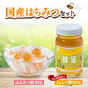 【ふるさと納税】国産蜂蜜セット(れんげ蜜とはちみつキャンディ) はちみつと飴の詰合せ【1287135】