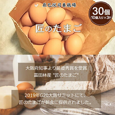 匠のたまご30個入り(10個入り×3P)辰巳悦司養鶏場 G20大阪サミット朝食に使用された卵