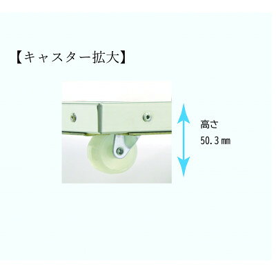【ふるさと納税】超低床台車〈自在輪タイプ〉【1368097】 f272141-tondabayashi-10000428 大阪府富田林市 サンプル画像3