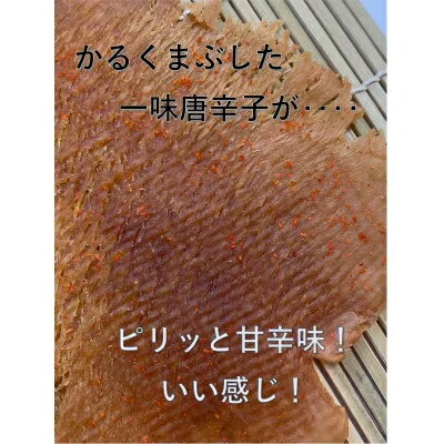 【ふるさと納税】昭和のなつかしい味!やわらか　のしいか(甘辛味)12パック【1410010】 3