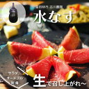 名称 【産地直送】古川農園　「水なす」そのまま食べられる生野菜でお届け!2個入×10袋 保存方法 常温 発送時期 2024/05/06～2024/06/25 提供元 古川農園 配達外のエリア なし お礼品の特徴 野菜なのにまるで果物みたいなジューシーさ。 『なす』なのに、生でおいしい不思議な野菜。 是非この珍しいジューシーな「水なす」を 生産者より鮮度抜群でお届けします! 大阪泉州地区で有名な水なすは通常のナスより水分量が多いのが特徴です。 富田林市は大阪南河内地区ですが、古川農園では20年以上前から「水なす」を作り続けています。 フルーツのようにジューシー水なすを 是非そのまま召し上がって頂きたく、「水なす」のみをご用意しました。 ・おすすめの食べ方 ≪そのまま≫ 水なすの生ハム巻き:生ハムの塩気と水なすがよく合います。 　　　　　　　　　(※お好みでオリーブオイルや黒こしょうをかけて) お刺身:しょうゆをかけたり、かつお節をのせてもおいしいです。 サラダ:薄く切り、トマトや豆腐、アボガド等の野菜を並べて 　　　　カプレーゼ風もとてもおいしいです。　 　　　　お好きなドレッシングであえてもおいしい!! 漬物、煮もの、揚げ物など、いろいろな料理にもよく合います。 「水なす」を是非ご賞味くださいませ。 ■生産者の声 「一生百笑、全力生産」 ・古川農園は生産にこだわります。誰かに必要とされ、欲しいと言ってもらえる野菜づくりに全力を注ぎます。 ・古川農園の野菜は決して特別な野菜ではありません。いつもの食卓に並び、家族を笑顔にさせるような存在であり続けます。 ・農業はバランス。変わりゆく自然環境や社会情勢、日々成長していく農産物と向き合いながら、愛情をもって野菜の栽培に取り組んでいきます。 ■お礼品の内容について ・水なす[2個入×10袋] 　　原産地:富田林市 　　賞味期限:出荷日+7日 ■注意事項/その他 ※ナスは冷蔵庫に入れると種の部分が黒く変色してしまいます。 ※鮮度保持袋に入っています。 　出さずにそのまま直射日光の当たらない涼しい所で常温で保存し、到着後なるべく早めにお召し上がり下さい。 ※画像はイメージです。 ・ふるさと納税よくある質問はこちら ・寄附申込みのキャンセル、返礼品の変更・返品はできません。あらかじめご了承ください。