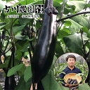 【ふるさと納税】【産地直送】古川農園 「大阪なす」どんな料理にもよく合う万能ナス!2本入×10袋【1484531】