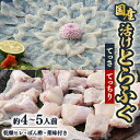 【ふるさと納税】ふぐ鍋セット 国産活けとらふぐてっさ・てっちりセット約4〜5人前 ヒレ付き【配送不可エリア注意】【配送不可地域:離島・北海道・沖縄県・東北・関東...