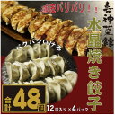 【ふるさと納税】喜神菜館名物 水晶焼き餃子 48個入り(12個入×4袋)《冷凍》【配送不可地域:離島】【1520583】