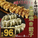 【ふるさと納税】喜神菜館名物 水晶焼き餃子 96個入り(12個入×8袋)《冷凍》【配送不可地域:離島】【1520585】